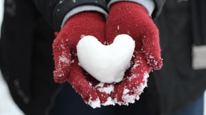 heart in hands six marketing do good grant