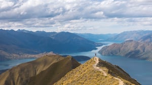 person at top of difficult mountain trail symbolizing how a fractional cmo can help